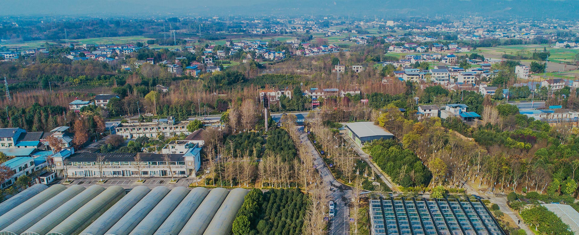 蔬菜品種育苗、示范推廣、基地種植、農(nóng)產(chǎn)品生產(chǎn)、加工 、銷(xiāo)售